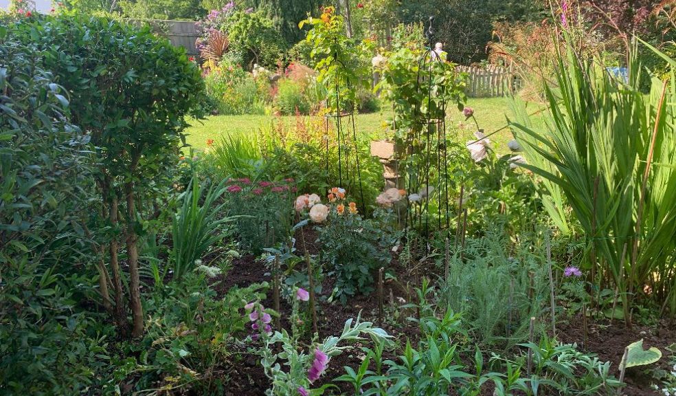 How to Create a Wildlife-Friendly Garden