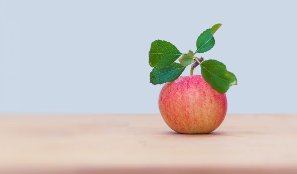 Waste disposal experts are calling for plastic stickers on fruit to be banned