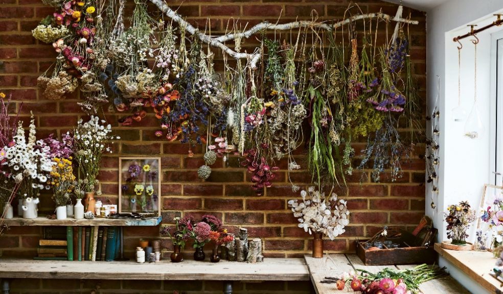 Dried Flowers hanging on wall