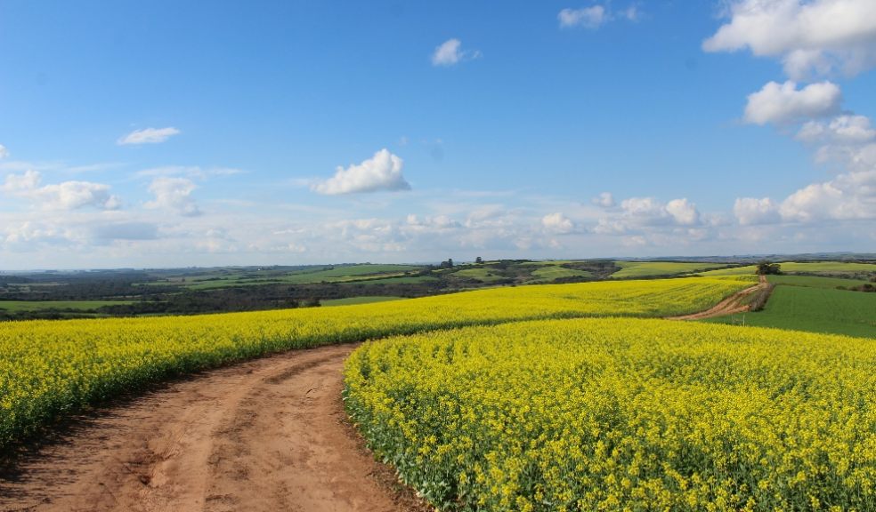 The pandemic has given people a greater appreciation of the landscapes farmers provide