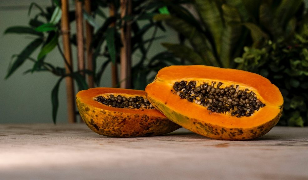 Keep your immune system healthy by eating a balanced diet Keep your immune system healthy by eating a balanced diet