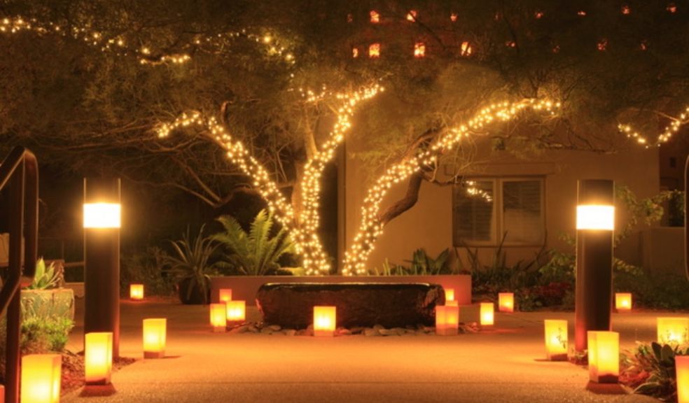 Consider lighting as a way of turning gardens into a haven