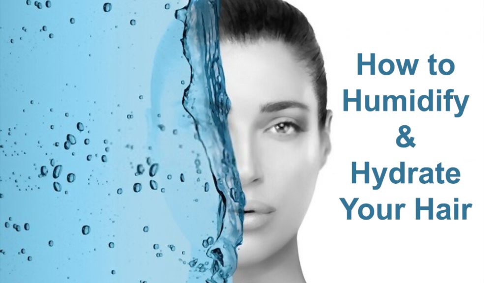 Humidify and Hydrate Your Hair