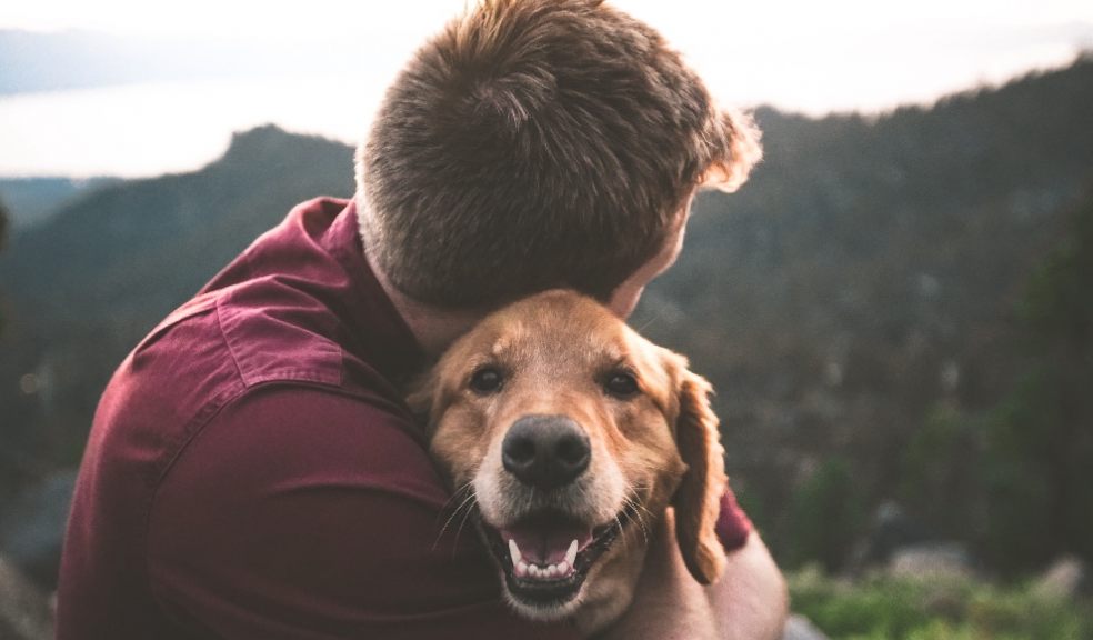 Leaving pets behind can be heart-breaking Leaving pets behind can be heart-breaking
