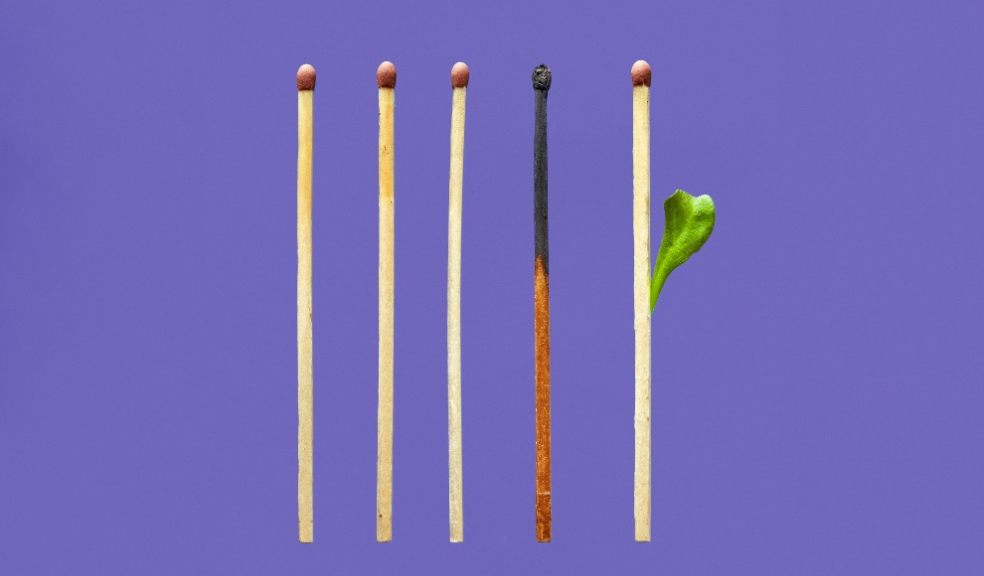 Images shows matches with one burnt out and one sprouting a leaf