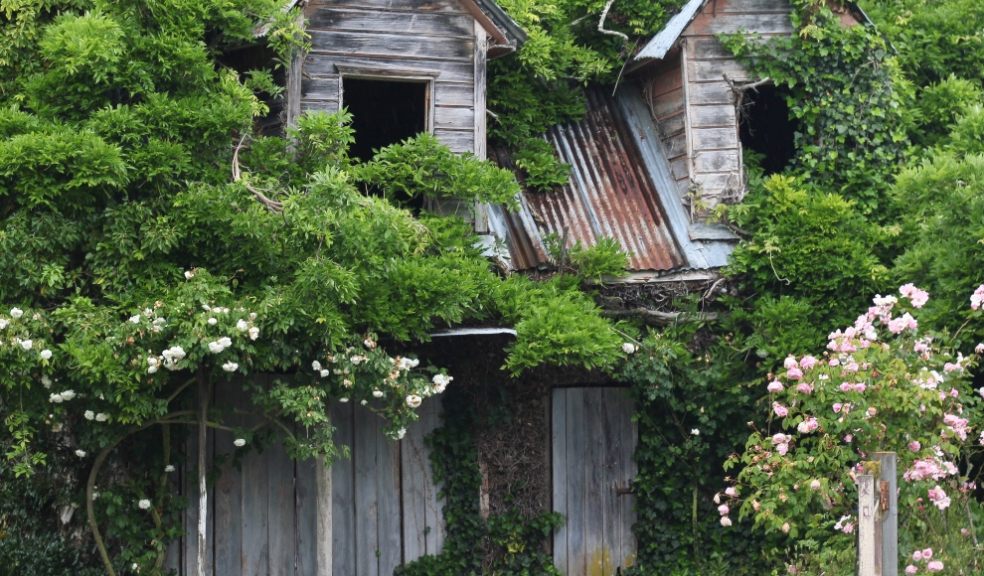 nature, garden, gardens, family