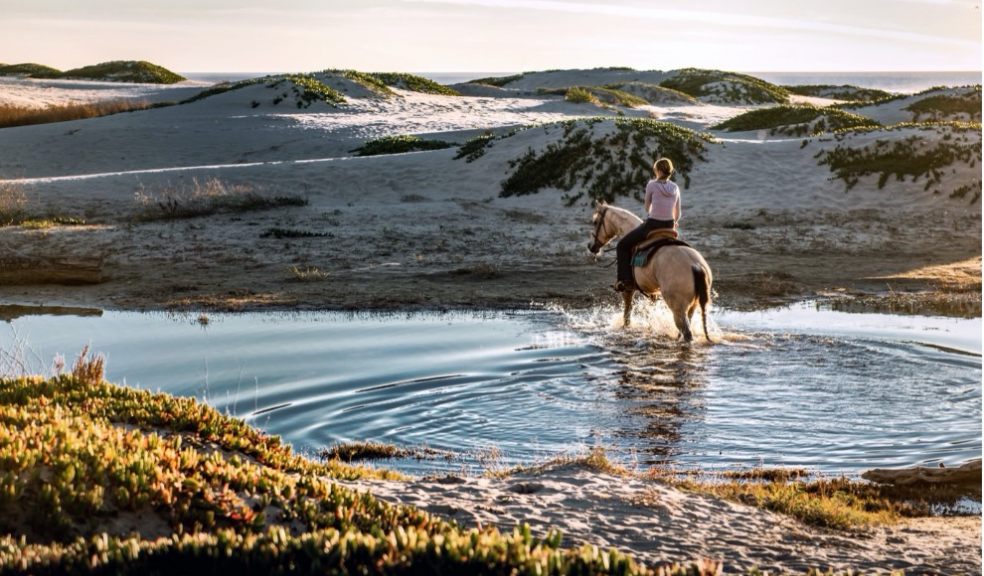 Horse rider looking out at landscape - Photo by Tim Mossholder on Unsplash