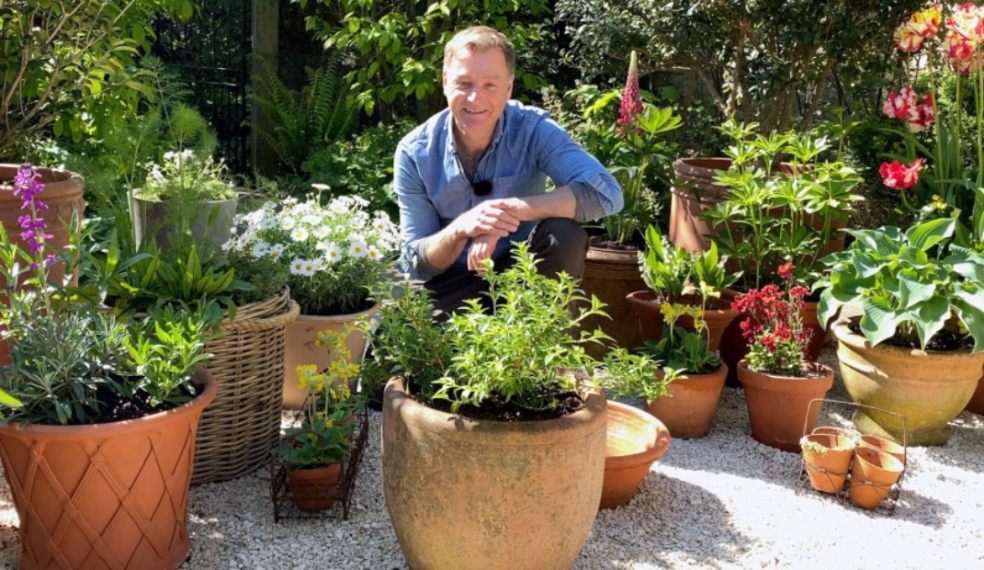 Plants for pots in garden