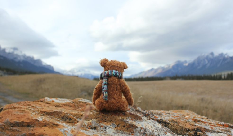 National Teddy Bear Day on 9th September