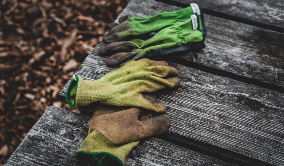 Winter gardening