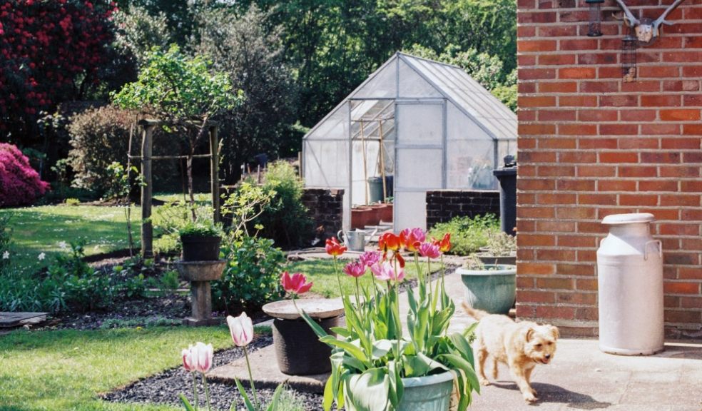 Top tips for sprucing up your garden