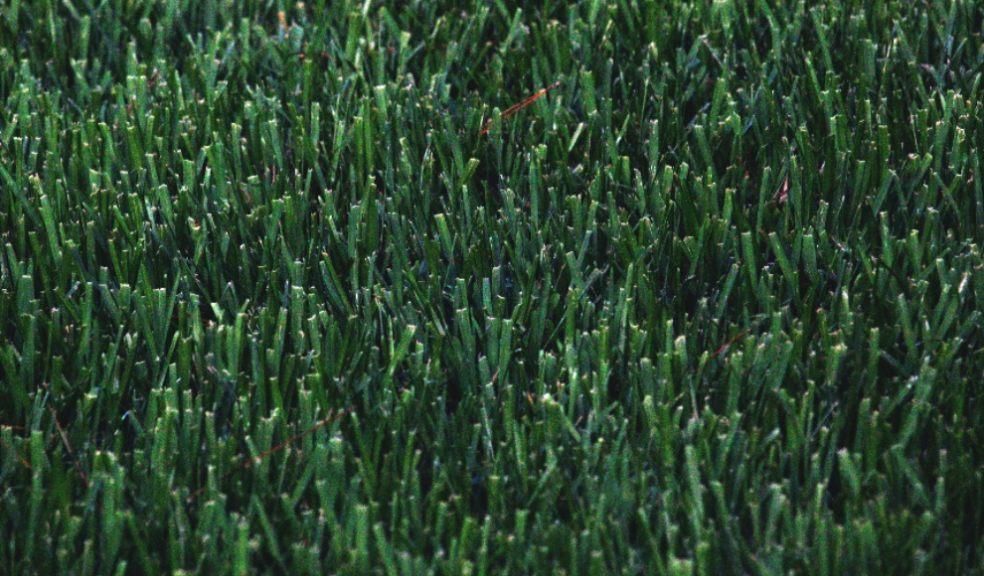 a quarter of people in the UK would be happy to see artificial grass lawns banned
