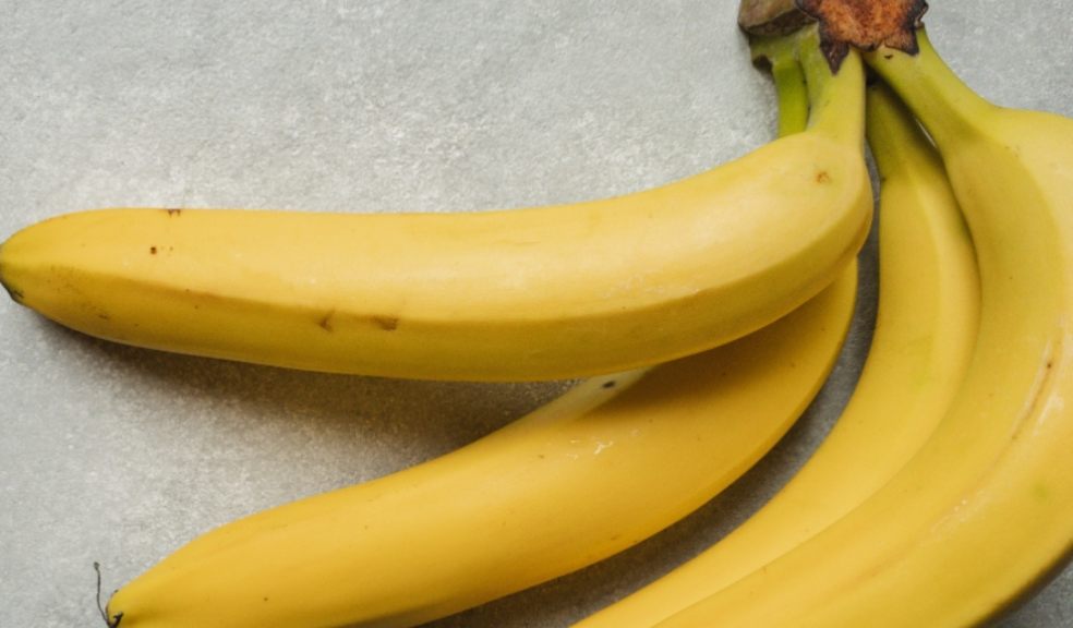 An essential amino acid called tryptophan is found in bananas and has been found to improve sleep quality