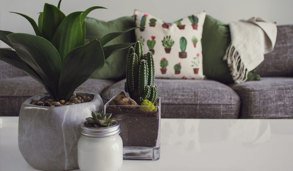 Tips for creating a relaxing room