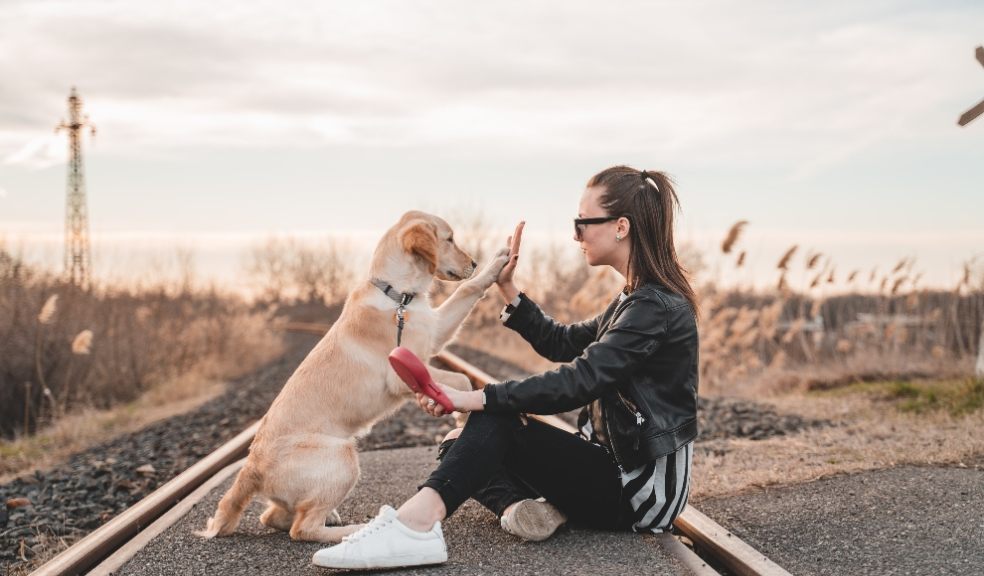 1 in 6 admitted to having a stronger bond with their pets than their partners