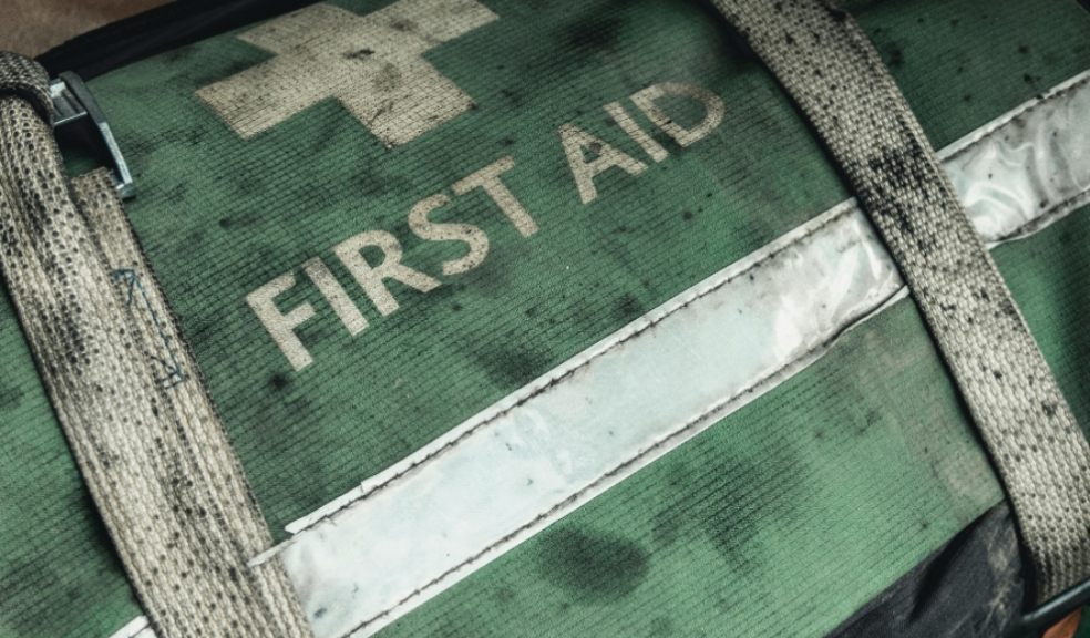 Motoring experts are calling for mandatory first aid training for all drivers 