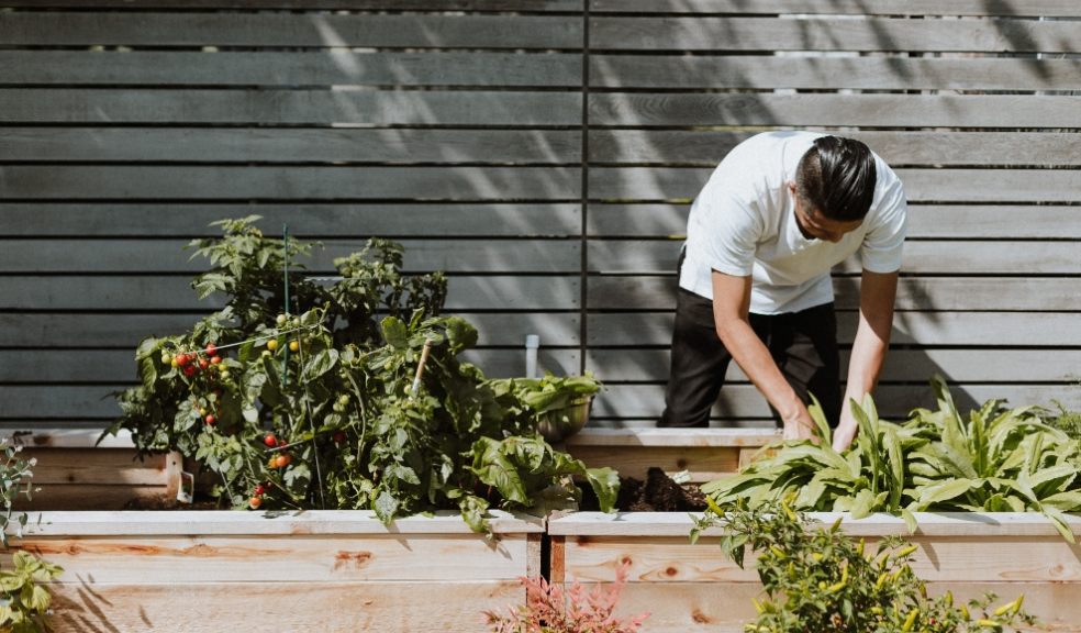 2023 is going to be the year gardeners focus on smart gardening