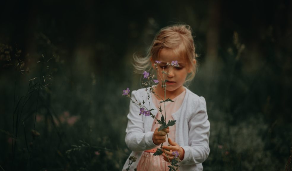 Now is the perfect time to get busy in the garden and bring the wildlife back Now is the perfect time to get busy in the garden and bring the wildlife back