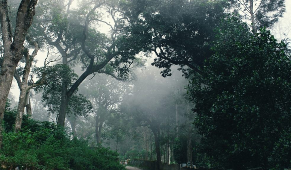  the ten creepiest roads in the UK