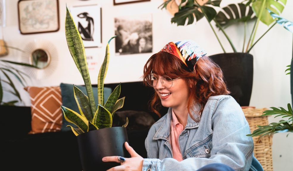 Plants can add instant colour, texture and personality to your interior.
