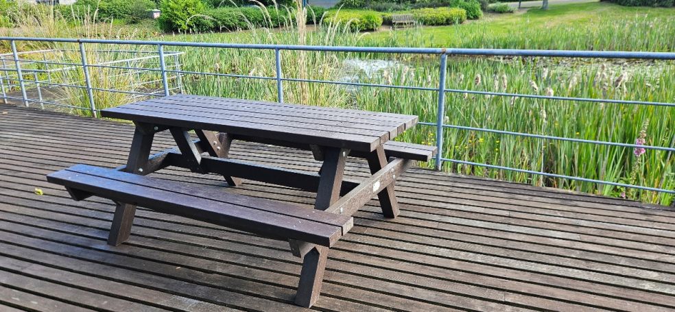 picnic bench table with a view