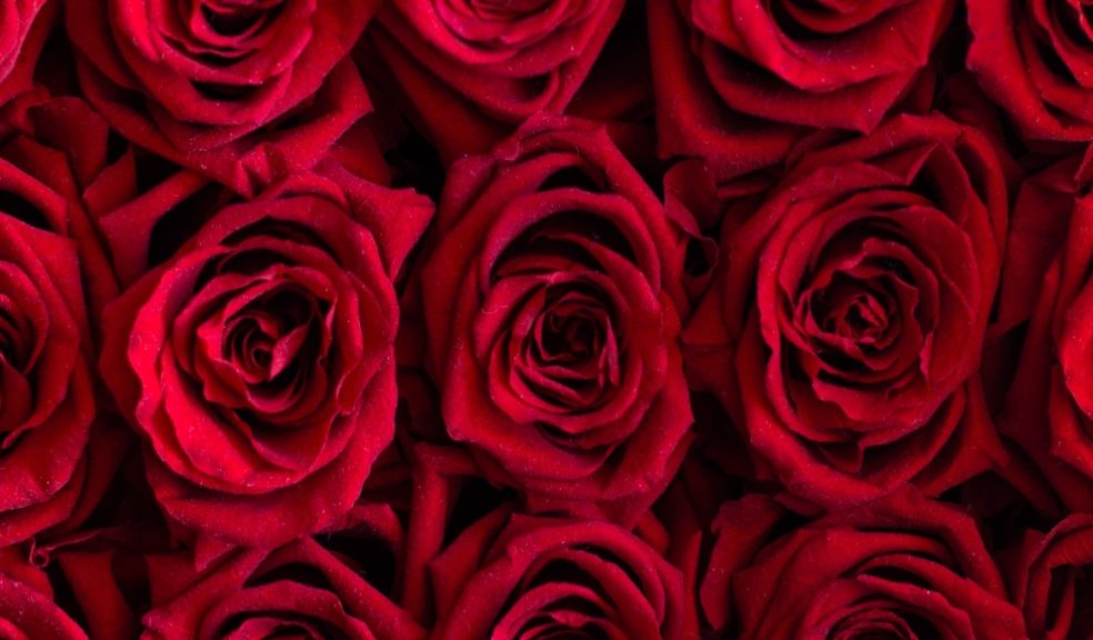Use colour psychology to choose the right Valentine’s flowers for your partner. 