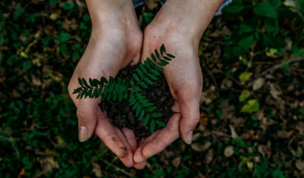 31 percent of Brits are trying to buy more sustainable items