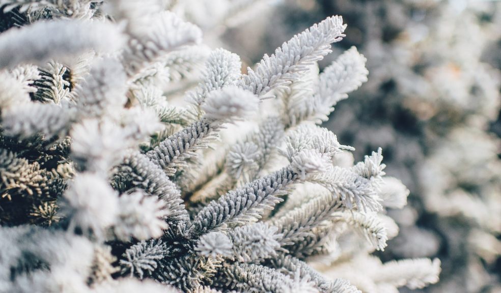 With careful management and advance planning, your property can survive unscathed as the cold kicks in. With careful management and advance planning, your property can survive unscathed as the cold kicks in.