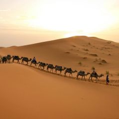Morocco Classic Tours
