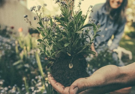 Winter gardening is becoming more popular Winter gardening is becoming more popular