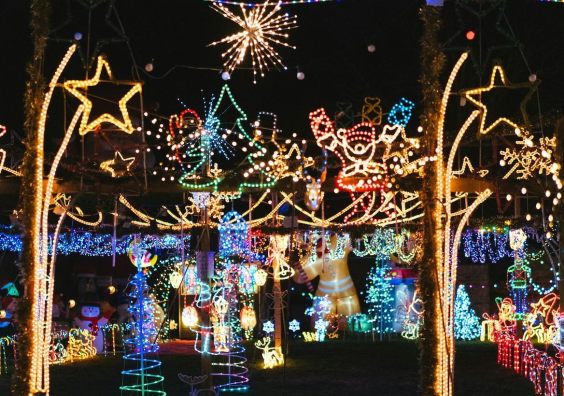 Festive light display Festive lights