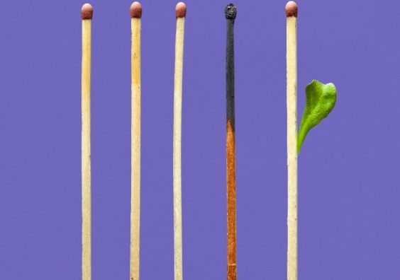 Images shows matches with one burnt out and one sprouting a leaf