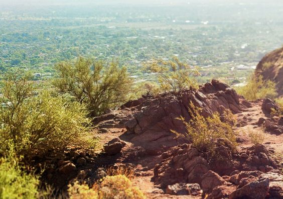 One day in Phoenix