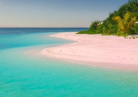 Travellers are urged not to overlook insurance, even for a one-day getaway.