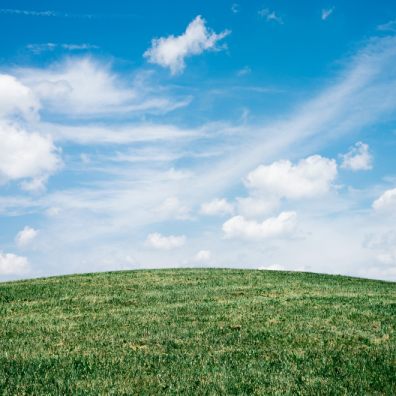 Pollen, dust, and levels of toxic VOCs (Volatile Organic Compounds) in the indoor air peak during the summer.