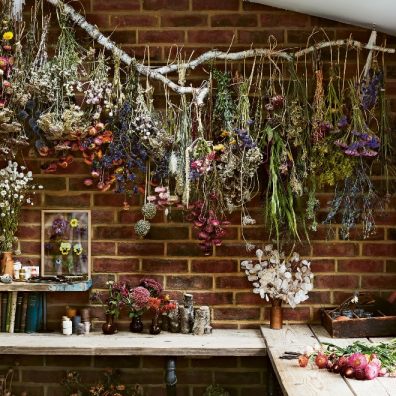 Dried Flowers hanging on wall