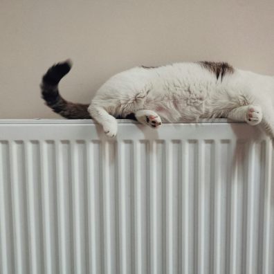 A cat on a household radiator