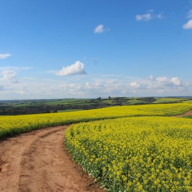 The pandemic has given people a greater appreciation of the landscapes farmers provide