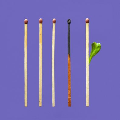 Images shows matches with one burnt out and one sprouting a leaf