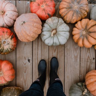 12.6 million pumpkin carcasses will be heading for landfill 