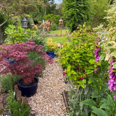 How to create a stunning border in your garden