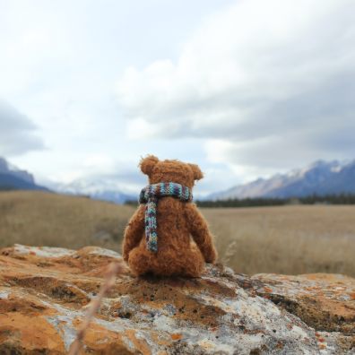 National Teddy Bear Day on 9th September