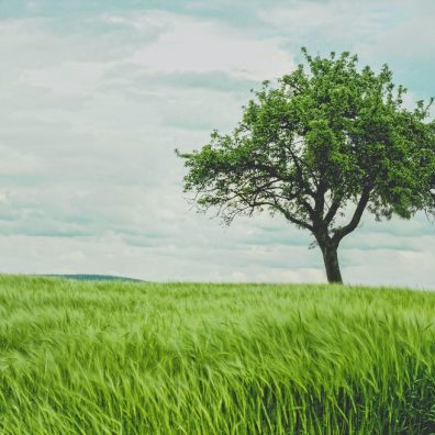 ‘Planet Pledge’ is inviting every household in the UK to sign up to a 66-day environmental pledge 