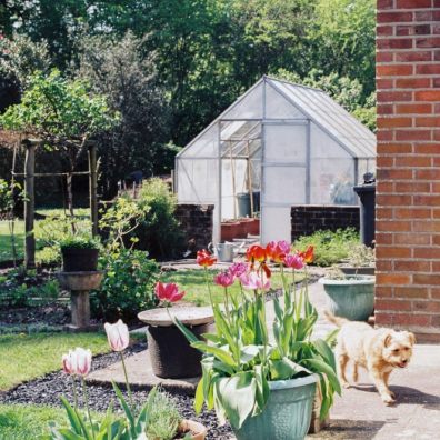 Top tips for sprucing up your garden