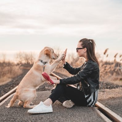 1 in 6 admitted to having a stronger bond with their pets than their partners