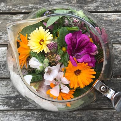 growing herbs edible flowers