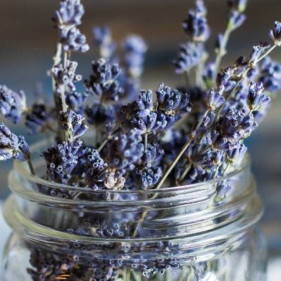 five plants that can have a positive impact on mental health and well-being