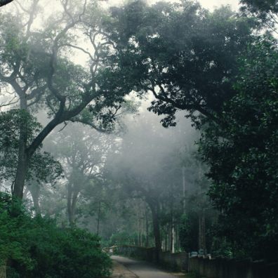  the ten creepiest roads in the UK