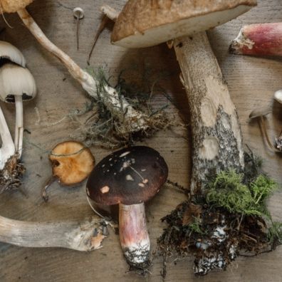 Getting vitamin D from natural food sources such as mushrooms during winter months