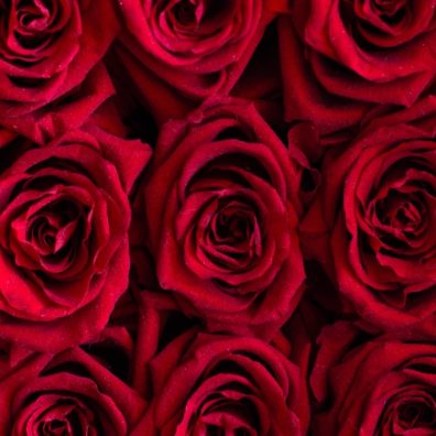 Use colour psychology to choose the right Valentine’s flowers for your partner. 